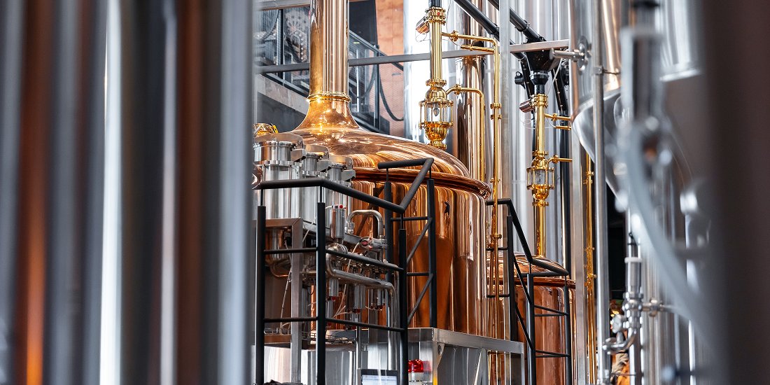 Fermentation tanks and transfer lines in a brewery production hall
