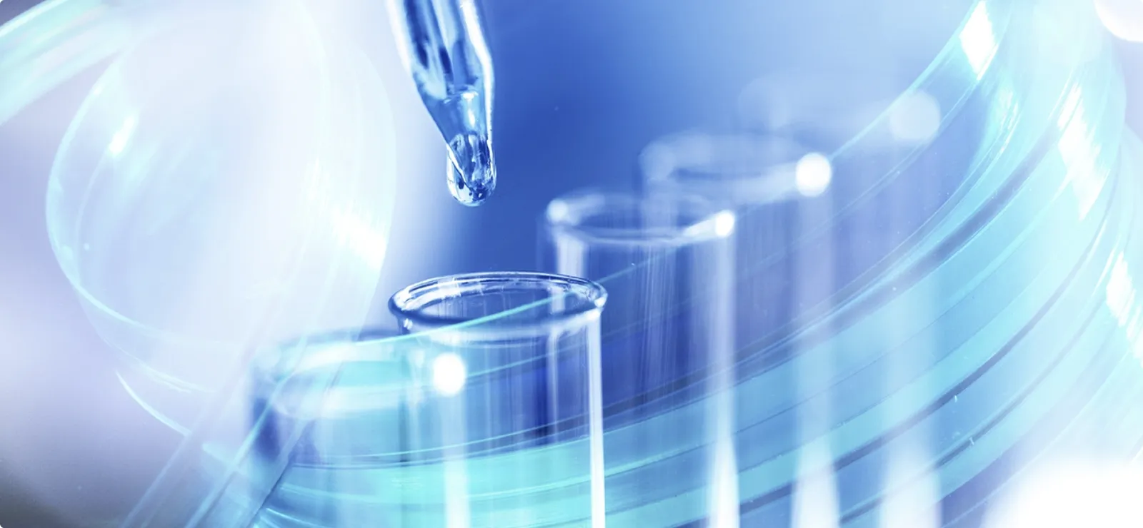 Laboratory pipette transferring liquid into test tubes for advanced research and analysis