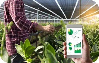 A worker in a greenhouse holding a smartphone that displays agricultural charts.