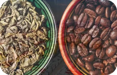 Side-by-side bowls showing dried leaves and roasted coffee beans for comparison.