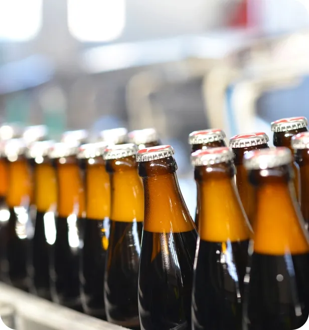 Beer bottles line