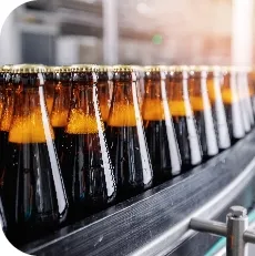 Bottles of beer produced
