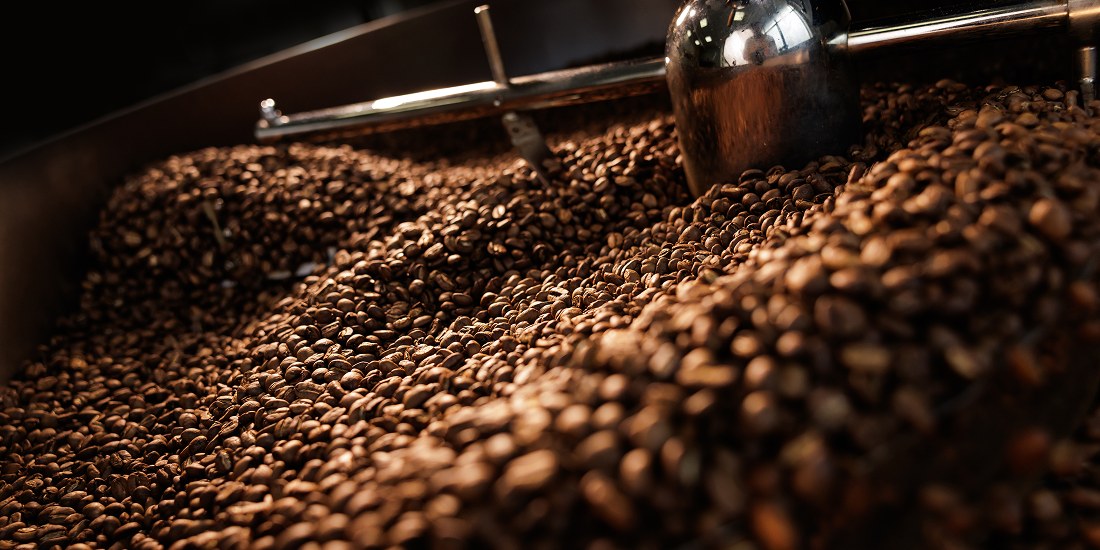 Green coffee beans being evaluated for a blending decision