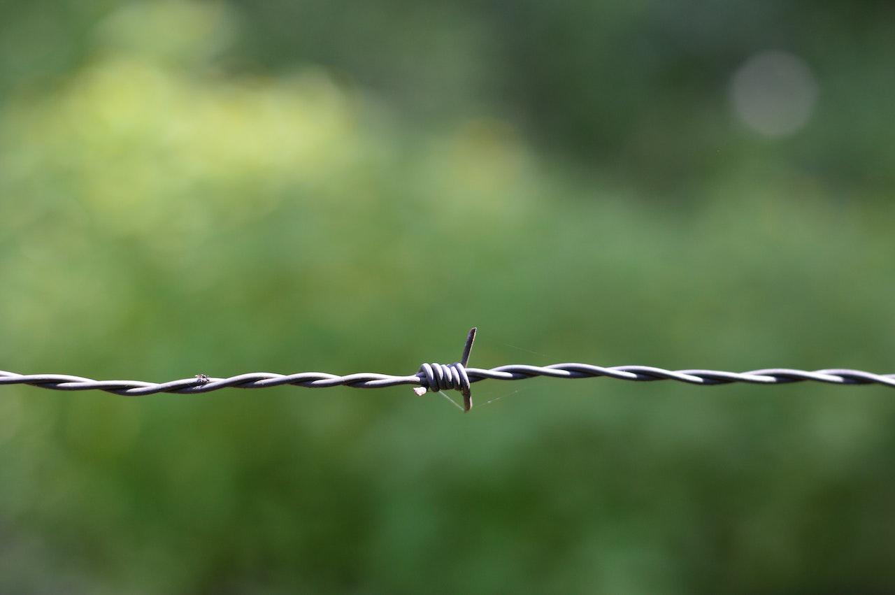 Close-up of barbed wire against a blurred green background, highlighting its twisted metal texture
