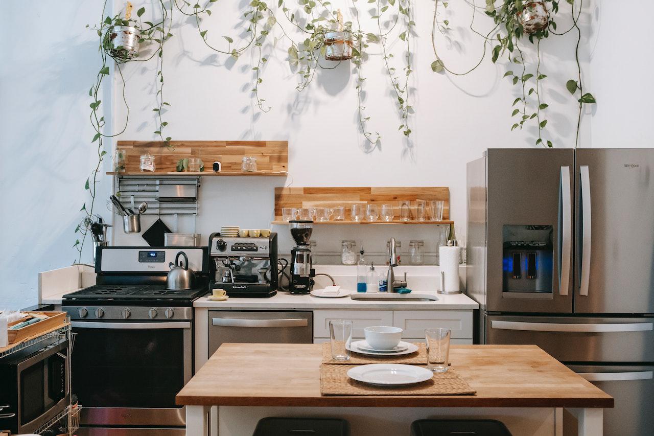 Modern kitchen interior with stainless steel appliances, wooden countertops, and hanging green plants