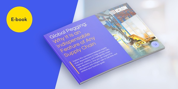 Global Pegging: Why It Is An Indispensable Feature Of Any Supply Chain!